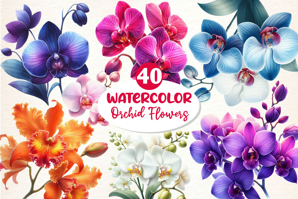 Watercolor Orchid Clipart, an Illustration by Dream Creation (Photo 1 of 5)