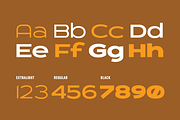 Farmer's Co-op, a Font by Very Cool Studio (Thumbnail 2 of 5)