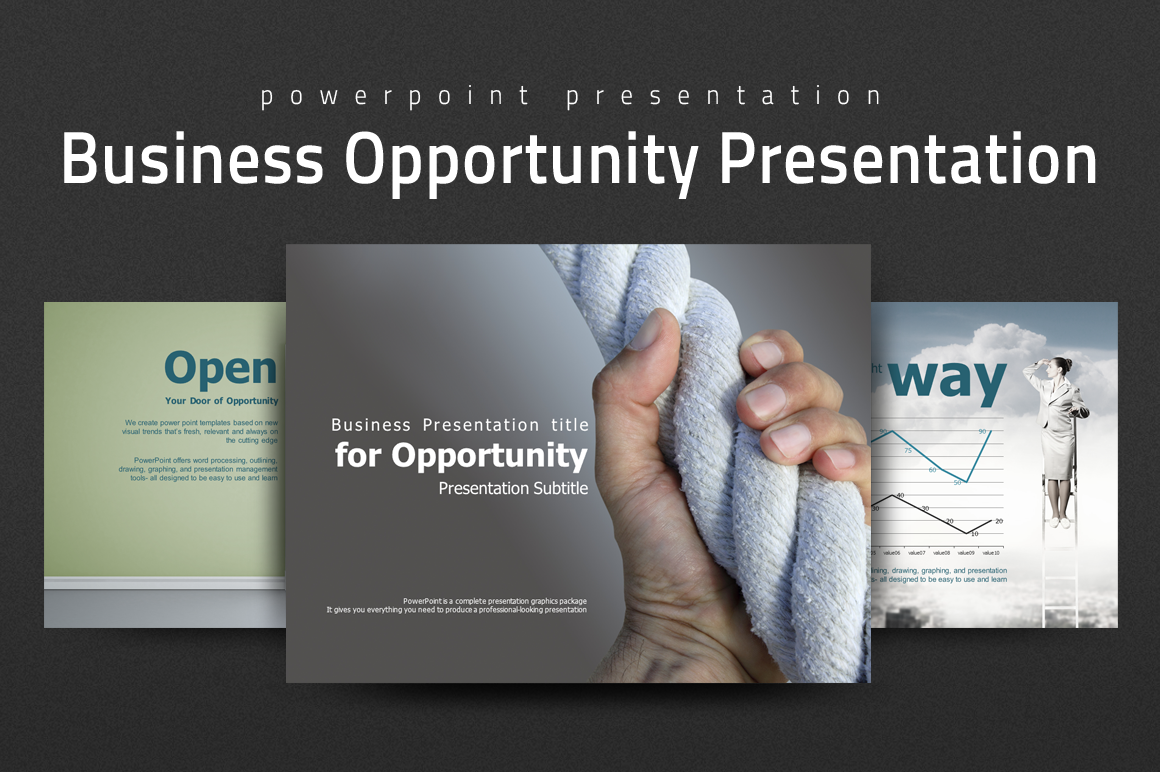 Business Opportunity Presentation A Presentation Template By Goodpello