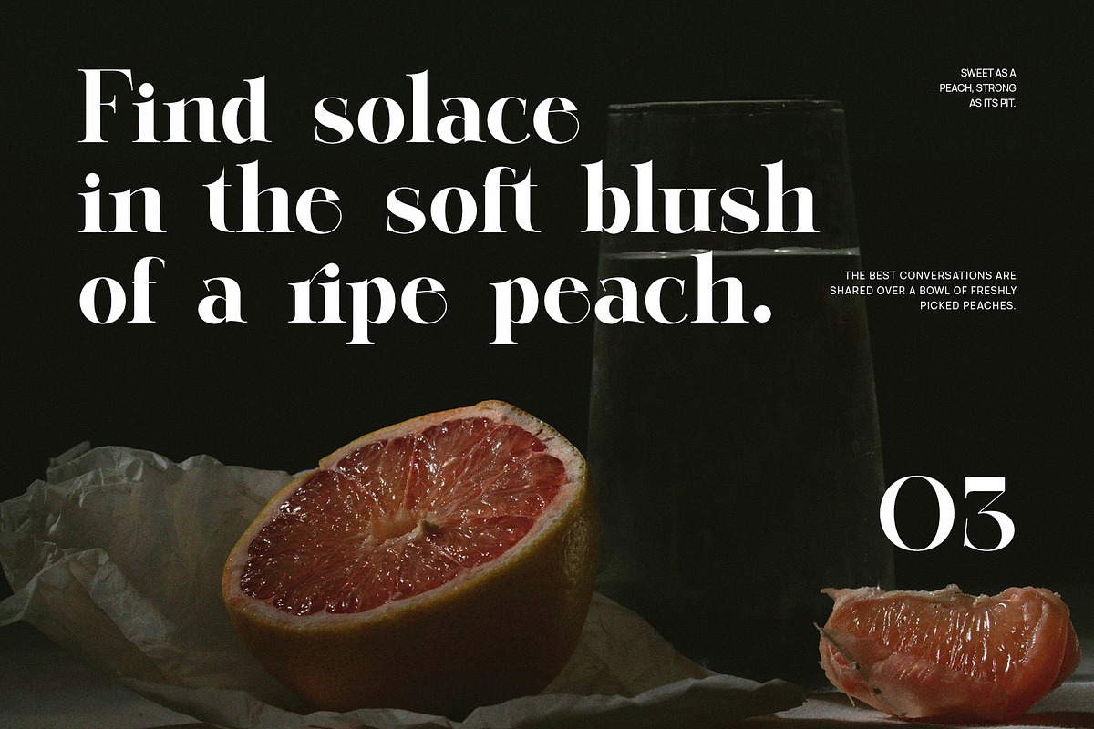 Gelmiro Elegant Serif Font, a Serif Font by Perfectype (Photo 6 of 8)