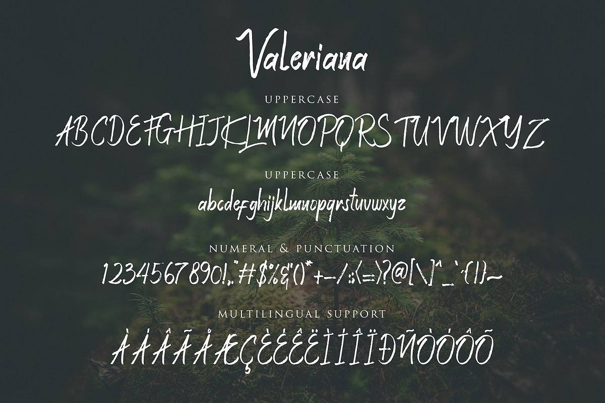 Valeriana Handstylish Font preview 6