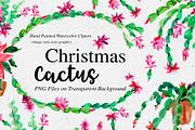 Watercolor Thanksgiving cactus, an Illustration by Belusuab (Thumbnail 1 of 14)