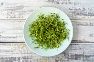Fresh green broccoli microgreens on a white plate. Healthy sprout plant ingredi, a Food & Drink Photo by Eugene_Photo