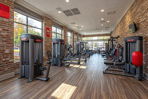 Modern fitness center features advan, a Photo by Tanuart