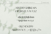 Rallomy Nature Beauty Serif, a Serif Font by alit design (Thumbnail 7 of 15)