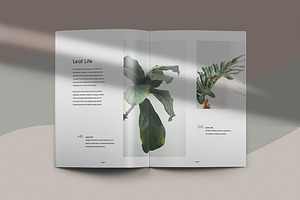 Quaro & Gillen - Botanical Brochure