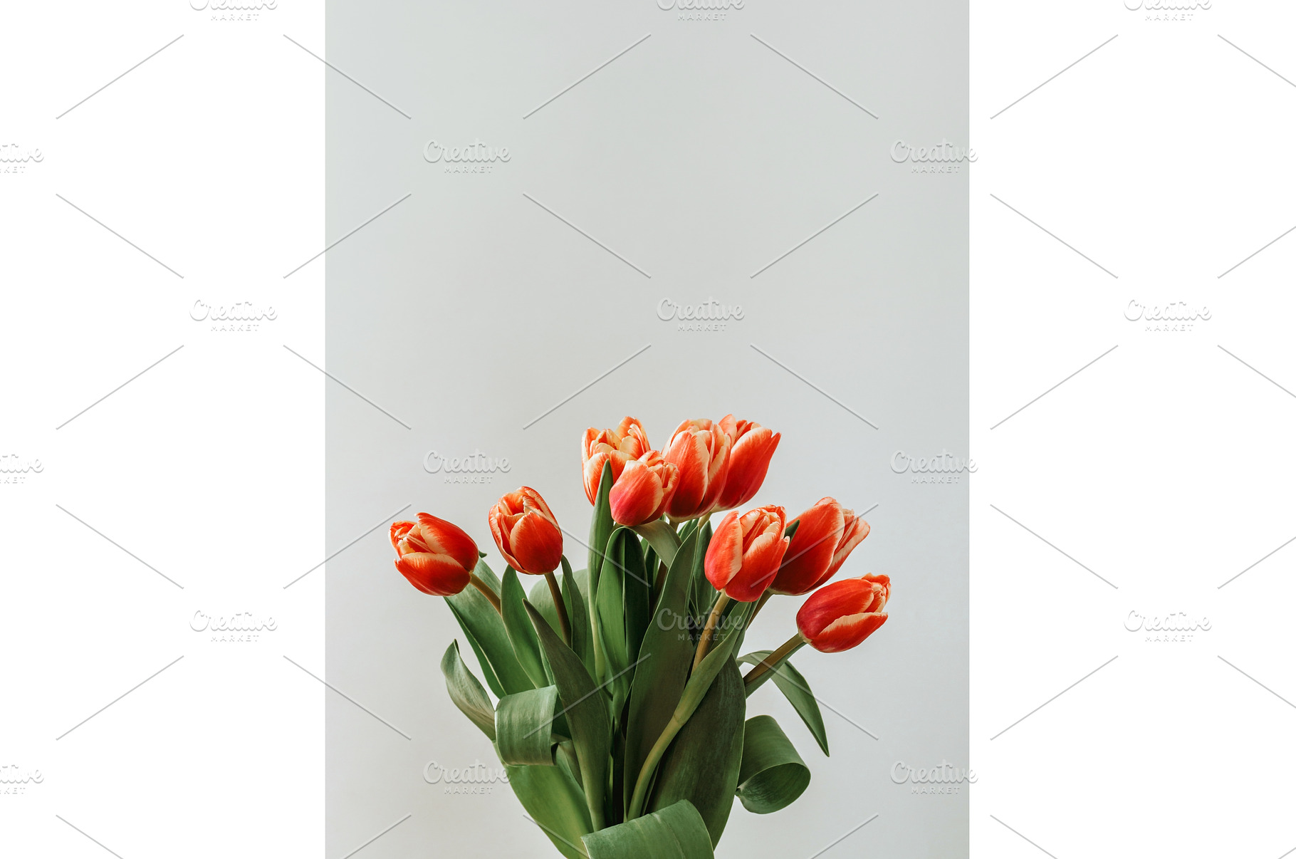 Bunch of red tulip on neutral, a Holiday Photo by Fascinadora