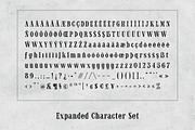 Authora - A Vintage Print Serif, a Serif Font by Parker Creative (Thumbnail 4 of 16)