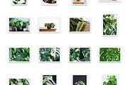Little Jungle Image Bundle 1, a Nature Photo by Lum3n (Thumbnail 3 of 3)