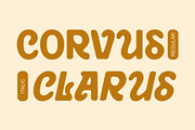 CS Ramiro Drawn, a Sans Serif Font by Craft Supply Co. (Thumbnail 3 of 8)