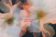 Blurred BLOSSOM backgrounds, a Background Graphic by lerinartstudio (Thumbnail 4 of 13)