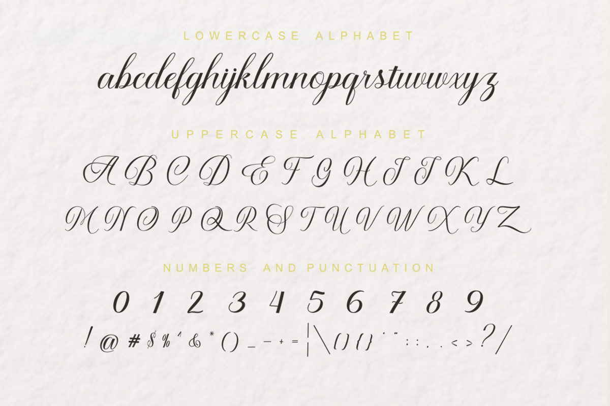Amealnia Script preview 6