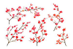 Watercolor Blossom Floral Branches