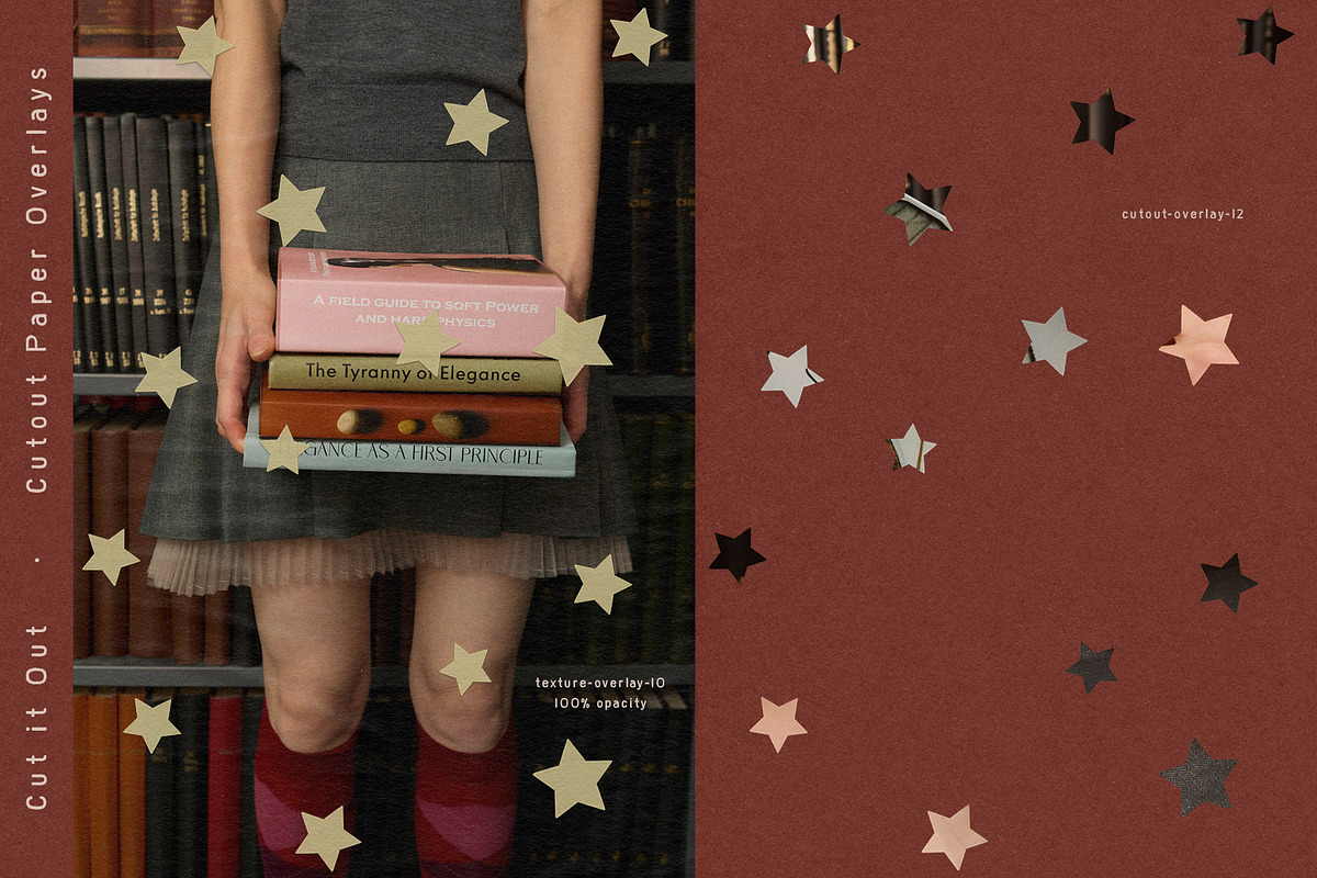 Cut It Out - Cutout Paper Overlays, a Texture Graphic by alonahaidash (Photo 6 of 26)