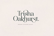 Idealist Serif, a Serif Font by Nicky Laatz (Thumbnail 21 of 34)