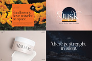 Modern Serif & Sans Serif Bundle, a Serif Font by Flawless And Co (Thumbnail 3 of 12)