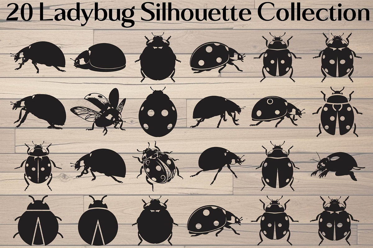Ladybug Silhouette, an Object Graphic by Designer_Momina (Photo 1 of 20)