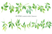 16 Watercolor Leaf PNG Paintings, an Illustration by Heartmade by Claudia (Thumbnail 2 of 2)