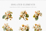 Watercolor Botanical Clipart, a Decorative Illustration by ThaismotaCreativeCo (Thumbnail 9 of 11)