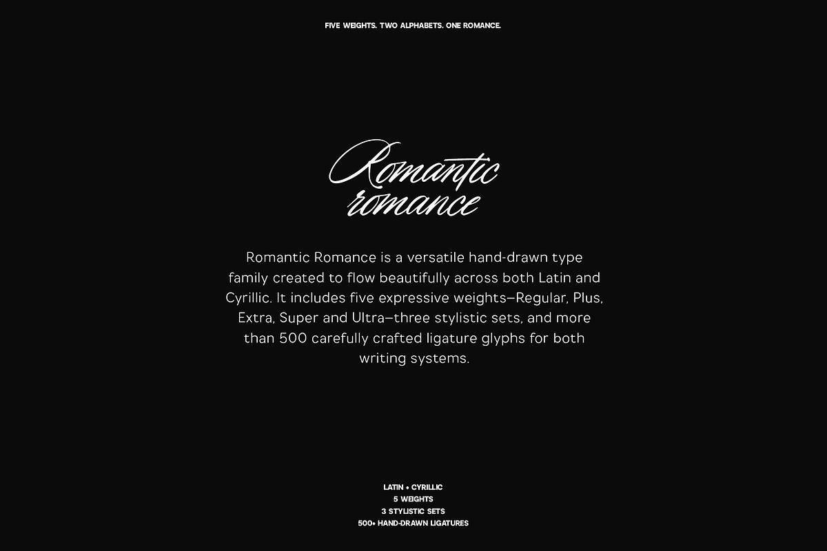 Romantic Romance - Calligraphy Font, a Script Font by VP Fonts (Photo 2 of 21)
