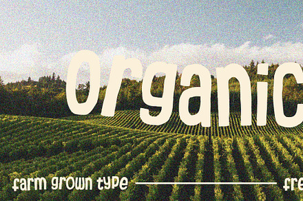 Organico, a Handwritten Font by Papertype