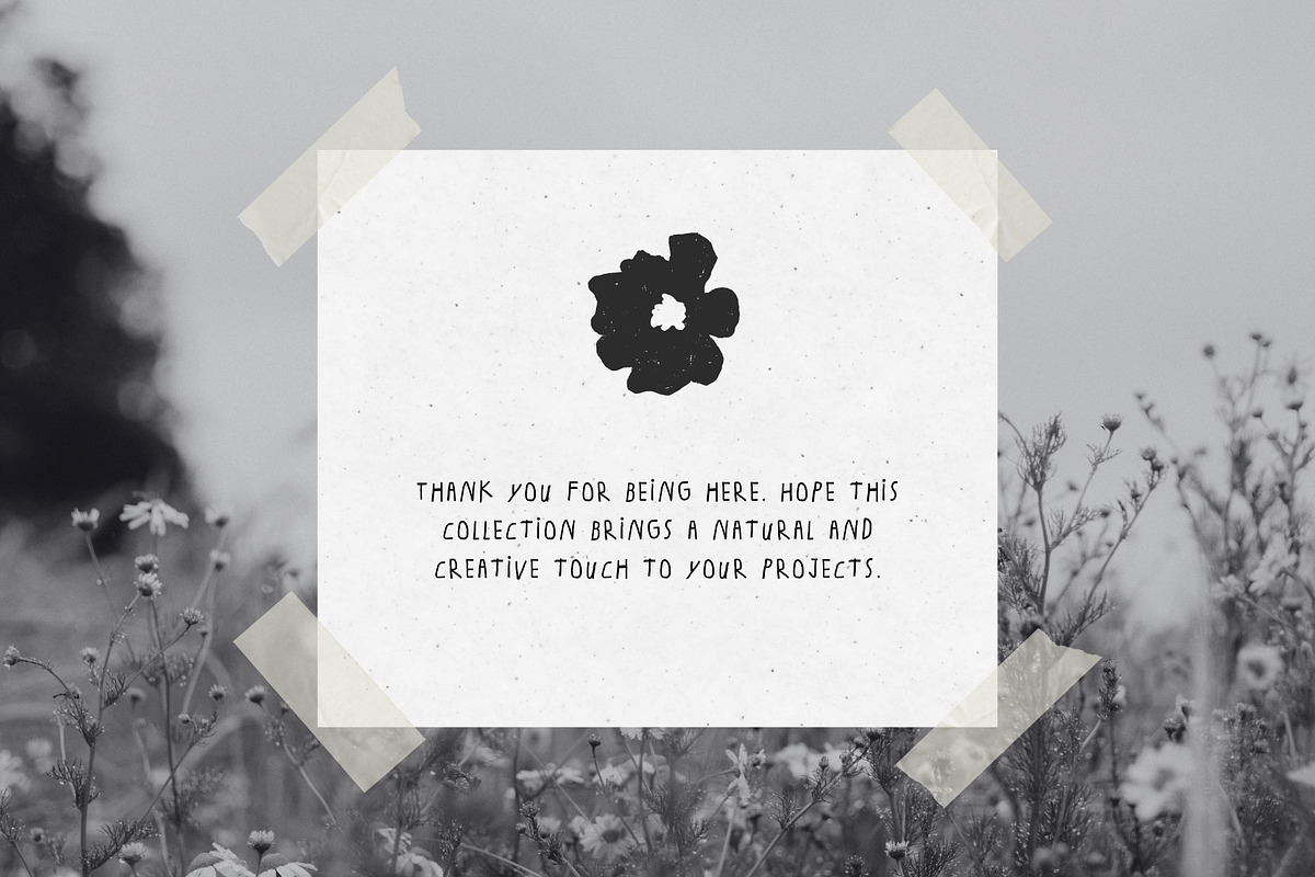 Wild Bloom: 70 Textured Flowers Pack, a Decorative Illustration by Veyla (Photo 15 of 15)