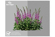 108 Assorted Plants Photo Overlays, a Nature Photo by KenScape (Thumbnail 2 of 4)