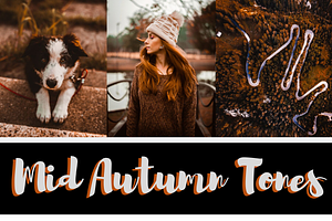 Autumn Lightroom Presets XMP/DNG