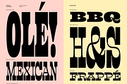 Lapoya Font, a Slab Serif Font by Cuchi, qué Tipo! Foundry (Thumbnail 9 of 18)