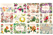Flowers 50 cliparts, big Bundle, a Decorative Illustration by Hello My Print (Thumbnail 2 of 10)
