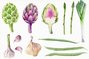Watercolor vegetables and herbs, an Illustration by Elegantia (Thumbnail 3 of 7)