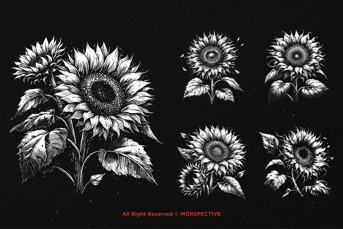 10 Bundle Dark Art Sun Flower, an Illustration by Morspective (Photo 5 of 7)