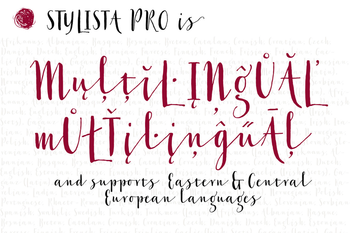 50% OFF Stylist Pro, a Script Font by Fontforecast (Photo 14 of 14)