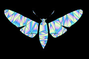 26 Holographic Illustrator Gradients, a Gradient Add-On by Kseniya-Omega (Thumbnail 3 of 5)