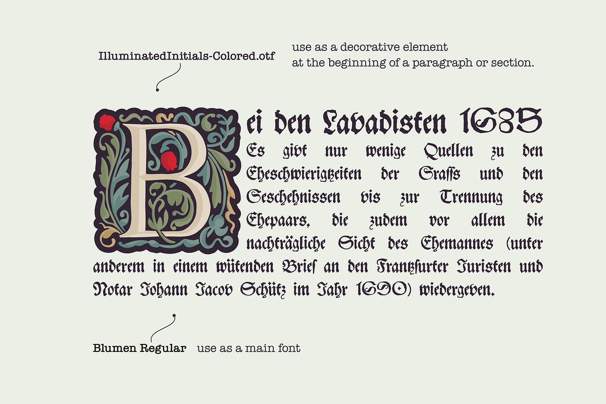 Illuminated Initials font family, a Blackletter Font by kaer_shop (Photo 4 of 10)