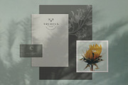 Encre Noire Logo Minimal Modern, a Branding & Logo Template by Nues Design (Thumbnail 9 of 14)