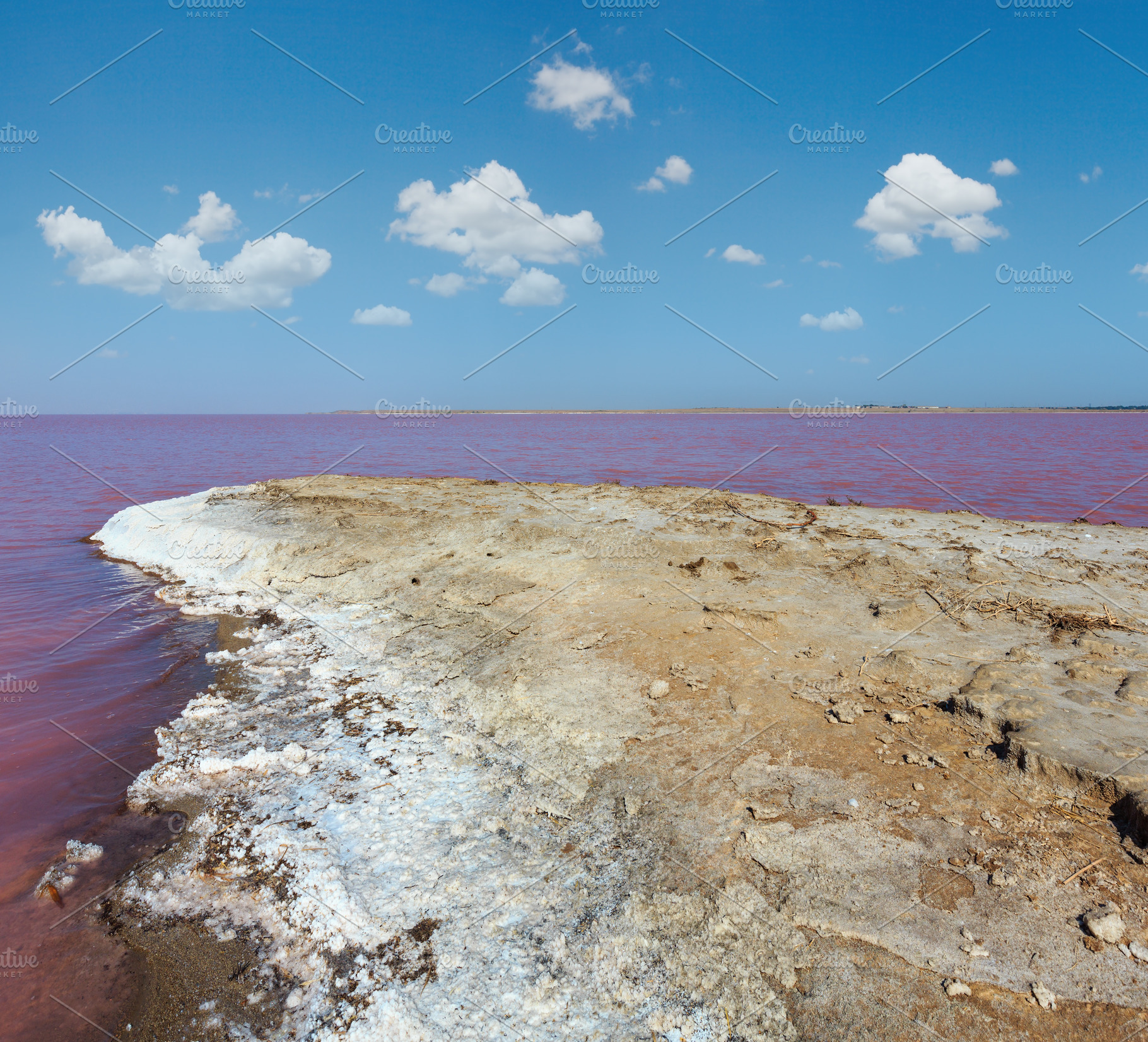 Pink salty Syvash Lake, Ukraine, a Nature Photo by YuriyB