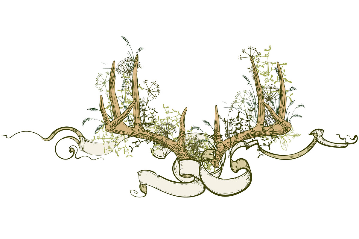 Deer antlers collection., an Animal Illustration by ArtOwl (Photo 8 of 8)