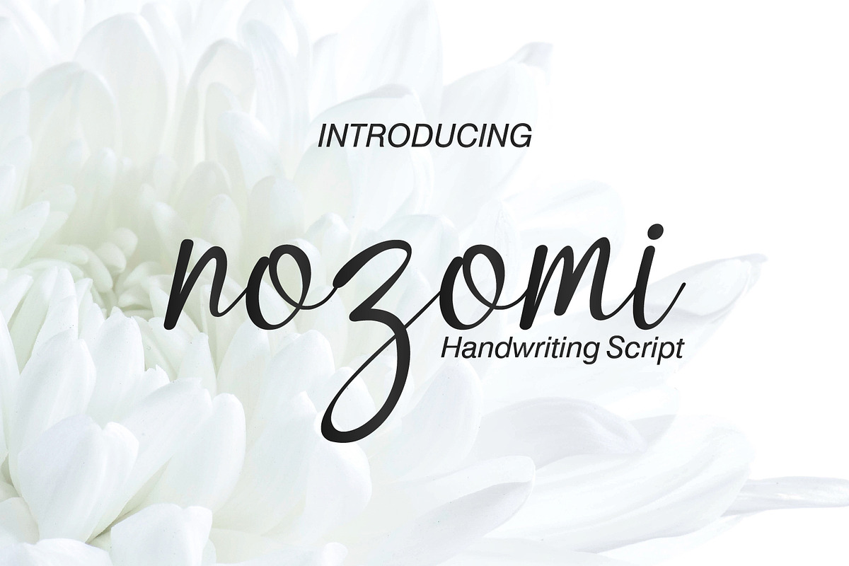 Nozomi | Handwriting Script Font, a Script Font by JprintStudio (Photo 1 of 6)
