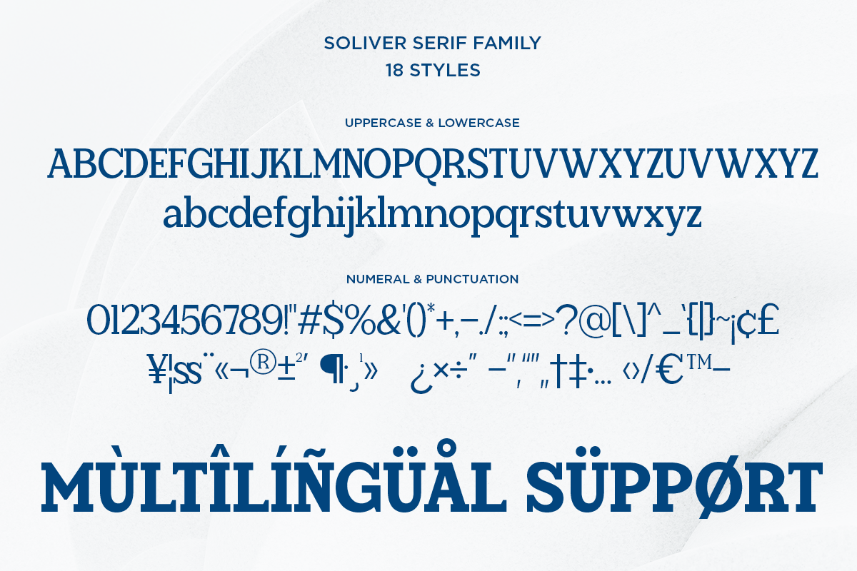 Soliver - Family Modern Slab Font, a Slab Serif Font by Say Studio (Photo 10 of 10)