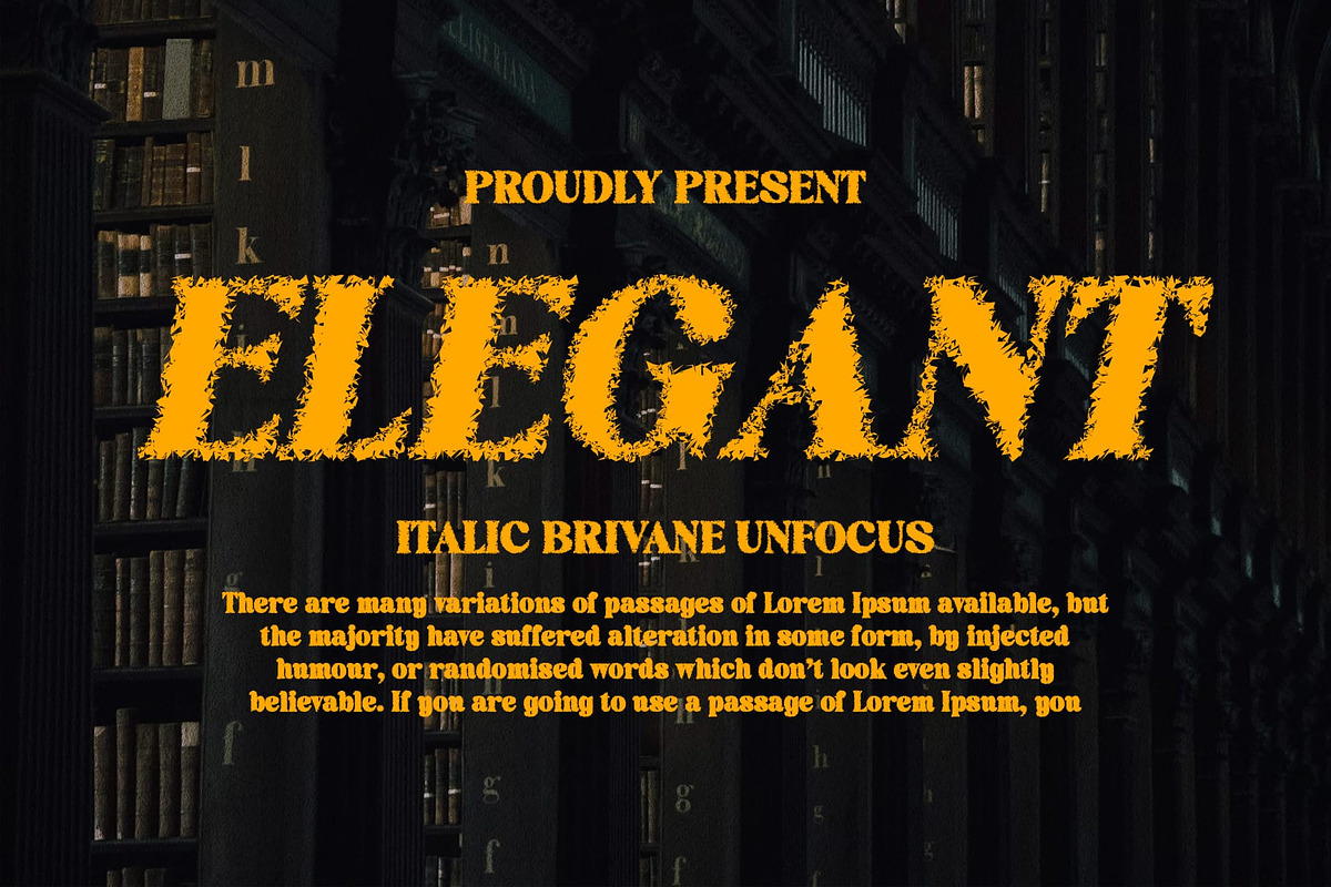 Brivane Unfocus, a Serif Font by Craft Supply Co. (Photo 4 of 8)