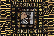 Golden Brown - Modern Serif Typeface, a Serif Font by Comactype Foundry (Thumbnail 8 of 20)