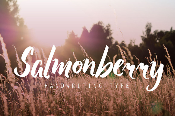 Salmonberry preview 6
