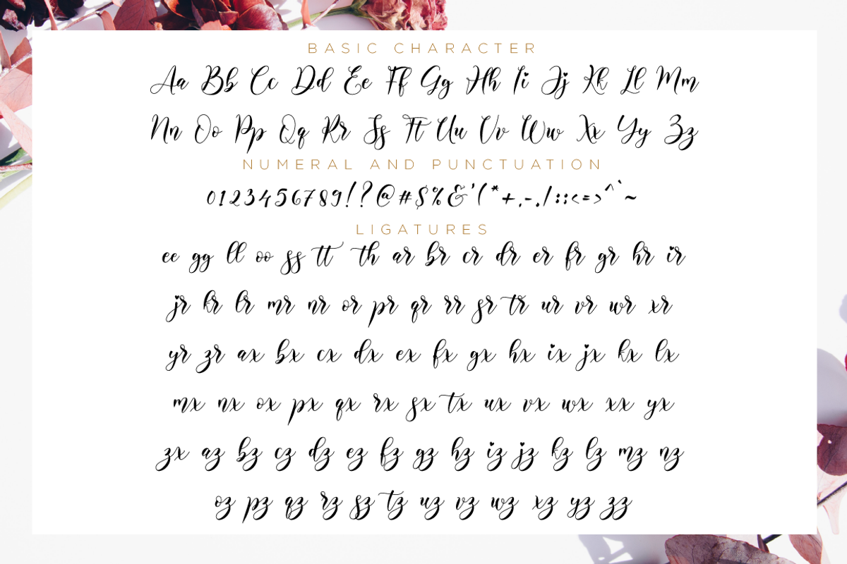Alyanda Script, a Script Font by Nissa Studio (Photo 11 of 12)