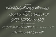 Belistha, a Script Font by Romiecreative (Thumbnail 7 of 7)