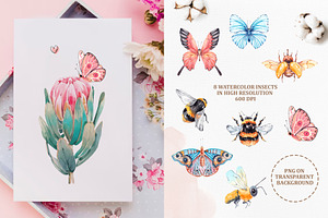 Insects And Flowers. Watercolor Set