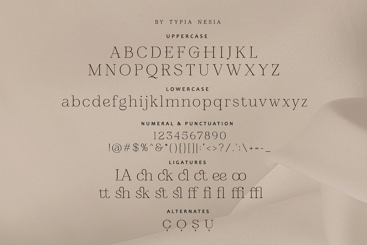 Glamode - Expressive Serif, a Serif Font by Typia Nesia (Photo 9 of 9)