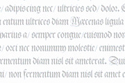 1543 German Deluxe Complete Set, a Blackletter Font by GLC Foundry (Thumbnail 7 of 7)