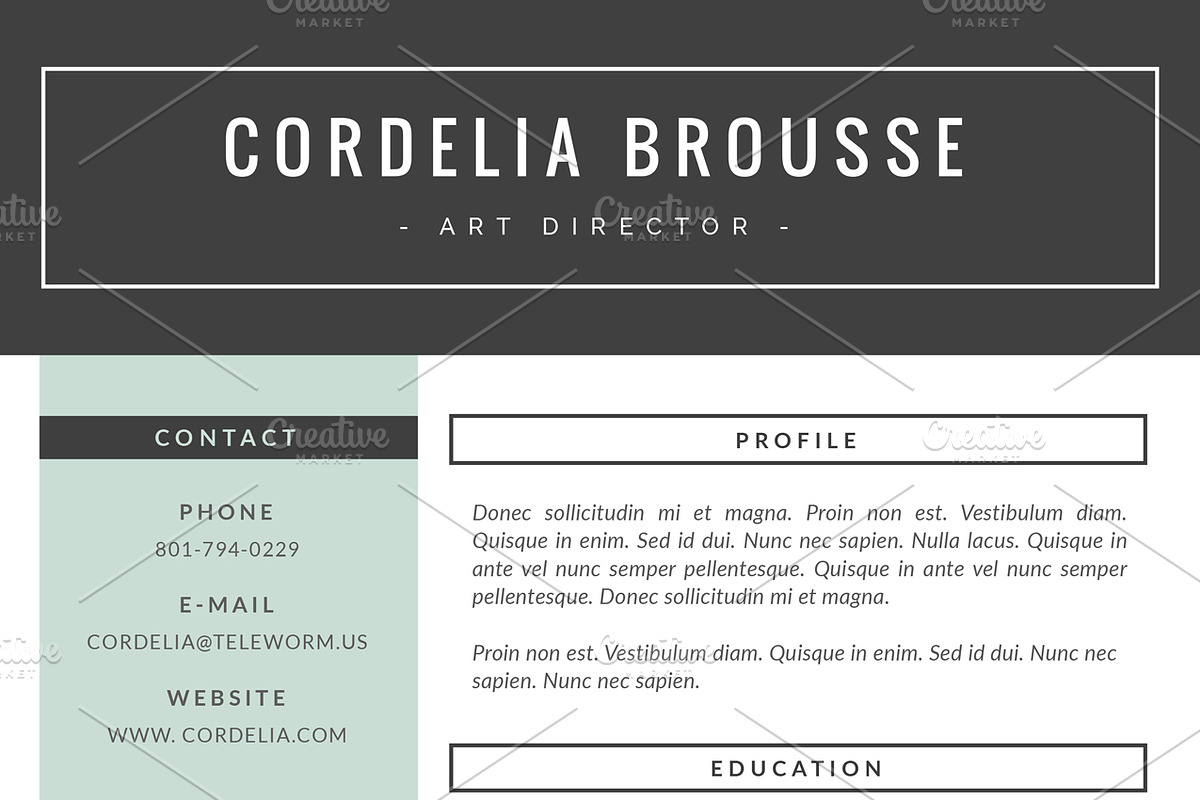 Resume Template 3 Pages, CV Template, a Resume Template by This Paper Fox (Photo 4 of 5)