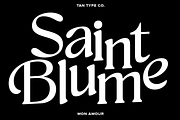 TAN - MON AMOUR, a Font by TanType (Thumbnail 5 of 11)